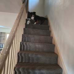 Shadows of Yesterday.mp3