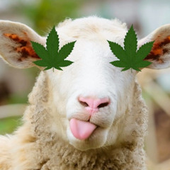 mividaescomo goatsimulator