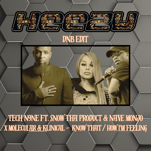 Tech N9ne Ft. Snow Tha Product & Nave Monjo X Molecular & Klinical -  Know That / How I'm Feeling (Heezy DnB Edit).wav