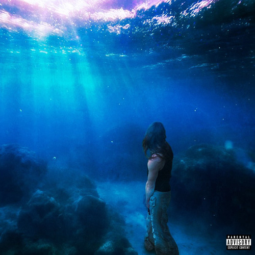 srrw - shrimp rmx (vlac) [slipbrick + stonedef + igb exclusive]