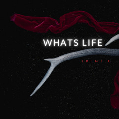 whats life