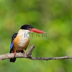 Orbital - Halcyon + On + On (Loudar "Remix")