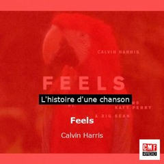 Histoire d'une chanson: Feels par Calvin Harris