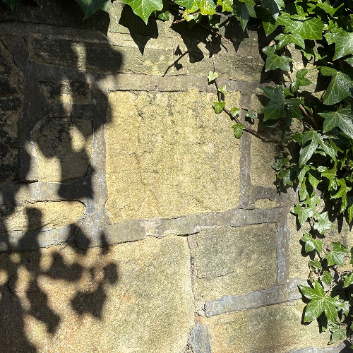 Ivy Dreams