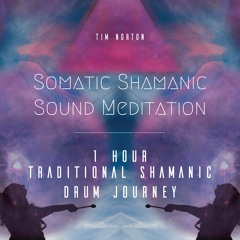 Traditional Shamanic Drum Journey:  1 Hour