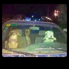 Fuck You Bitch (hero of heroin) - ft. Jacoolest