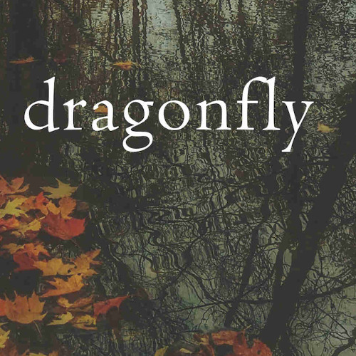dragonfly (naviarhaiku614)