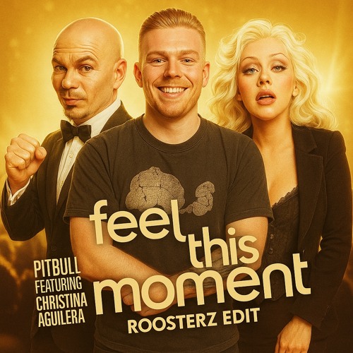 Feel This Moment (Roosterz EDIT)