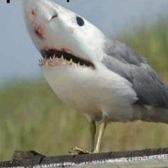 Tanq Boeva - Tuzara (club mix 97bpm) - KinLey.mp3