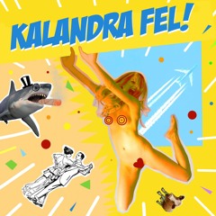Kalandra Fel Netmustar
