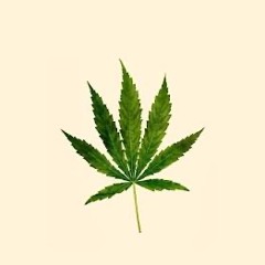 Higher (Prod. Distro).mp3