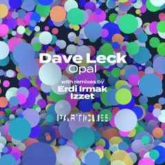 Premiere: Dave Leck - Opal (Erdi Irmak Remix) [Particles]