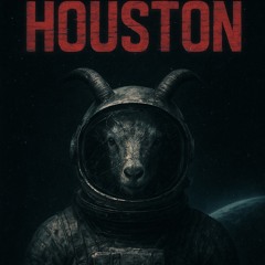 Houston jay.wav