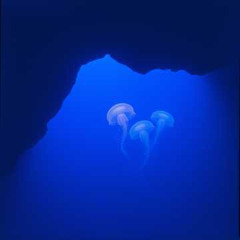 Within the Depths