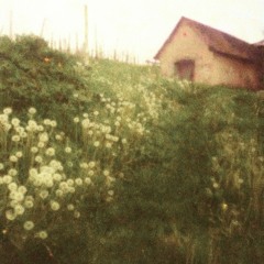 VECEIT X RAIDXN - STARGARDEN