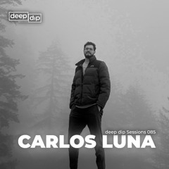 Carlos Luna @Hausparty (Warm Up Set for Just Her) - deep dip Sessions 085