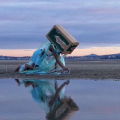 Staying with the Trouble - Exhibition Introduction by Seán Kissane, 2025