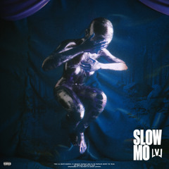 slowmo (Radio Edit) [feat. sanka]