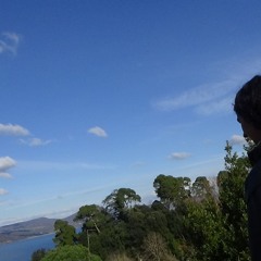 February 2024 Samples