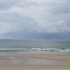 SHARKS IN THE WATER ARE BETTER THAN THE SHARKS ON THE LAND.m4a