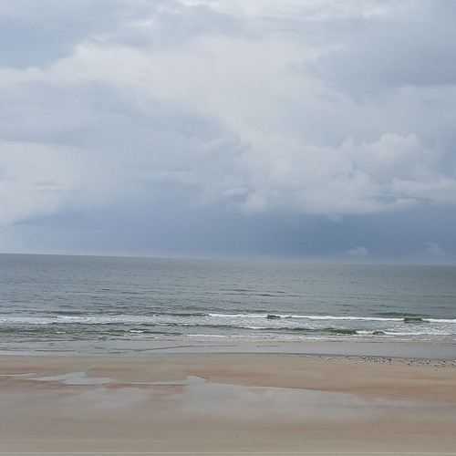 SHARKS IN THE WATER ARE BETTER THAN THE SHARKS ON THE LAND.m4a