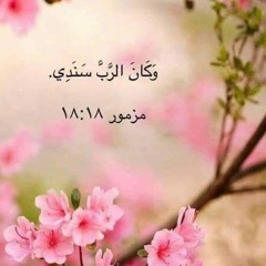 مال إلي وسمع صراخي - خدمة السماء على الأرض - مصر