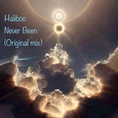 Never Been (Original Mix)
