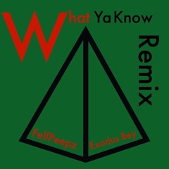 What Ya Know (remix)-FellPeepz featuring Exodus Bey