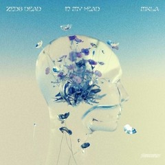 Zeds Dead  x MKLA -  In my Head (Artificial Sky Remix)