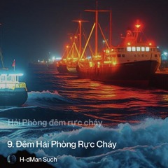 9.-đêm-hải-phòng-rực-cháy.