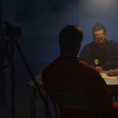 Questioning Witnesses