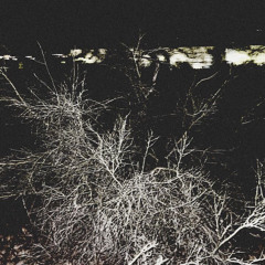 kidd!or - in front of ur face [acid] ^xxxpressions xxxclusive^