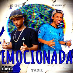 MC PK Do ST & MC WESLEY DO VT - EMOCIONADA - DJ WC SHEIK 2K21