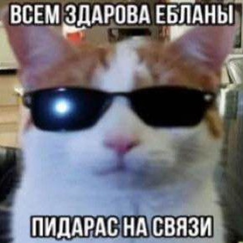 AQYLA - Москва