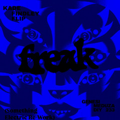 Genesi, Meduza- Freak ( Kade Findley Flip) vs Subtronics - Stratosphere (Something Electric ReWork)