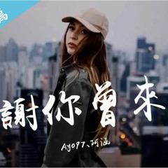 Ayo97 - 感謝你曾來過 ft.阿涵「高音質 x 動態歌詞