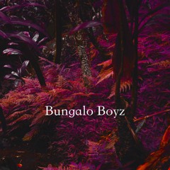 Bungalo Boyz - Discovery Project: Beyond Wonderland 2020