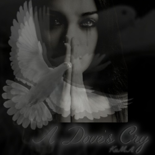 A Dove's Cry