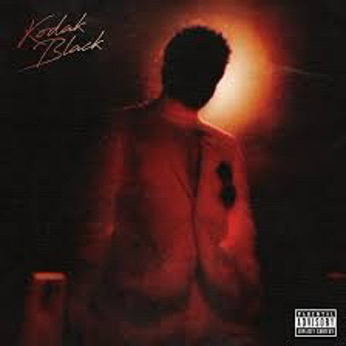 She Love Future- Kodak Black