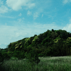 Log_20250514（demo）