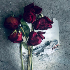 You Give Too Much Lies