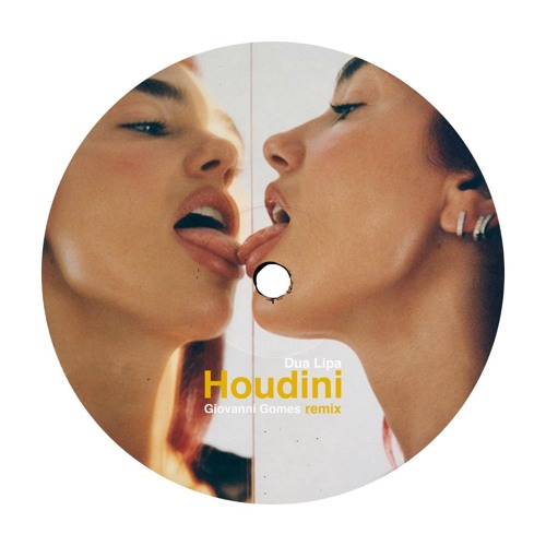 Dua Lipa - Houdini (Giovanni Gomes Remix)