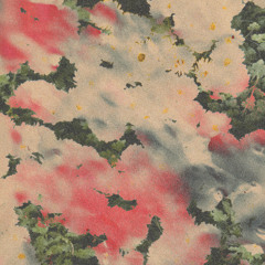 PREMIERE : Toupaz - What's The Mass Of Memory