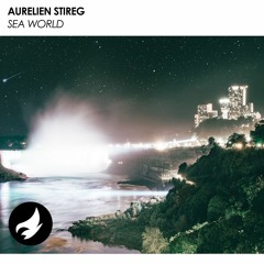 Aurelien Stireg - Sea World (Original Mix)
