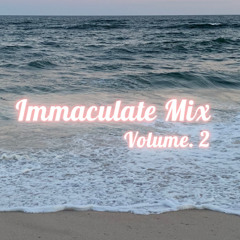 Immaculate Mix Volume. 2