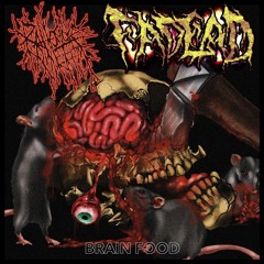 RAT TORTURE VICTIM x FVDXVD - BRAIN FOOD (Fullstream) 2024