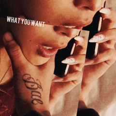 Mase Ft. Total - What You Want [Monnie Kingz Remix]