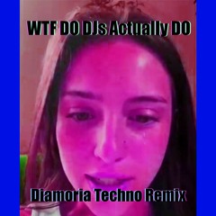 WTF Do DJs Actually Do - Diamoria Remix
