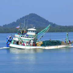DJ OlgaZzz - Plongée dans l'atmosphère