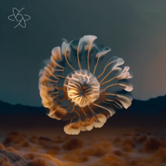 Premiere | Kamiel Kiko - Black Drift [CROCUS]